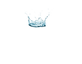 8 - OZ-Washroom